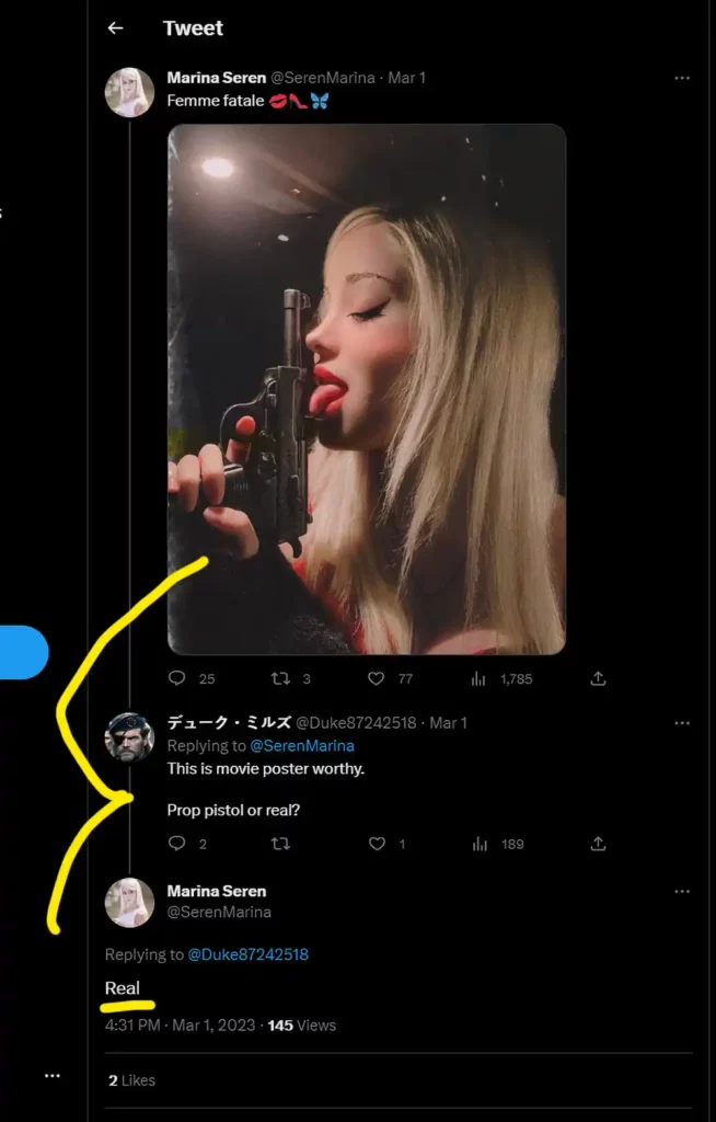 Screenshot of Marina Seren's Tweet with gun in a car